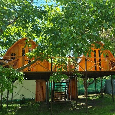 Cabanas Penaflor Glamping Zewnętrze zdjęcie