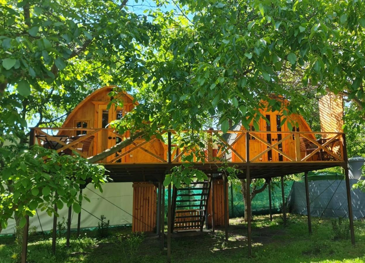 Cabanas Penaflor Glamping Zewnętrze zdjęcie