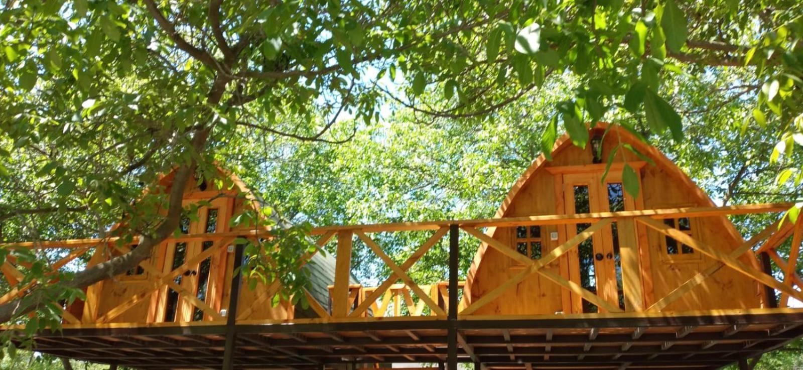 Cabanas Penaflor Glamping Zewnętrze zdjęcie