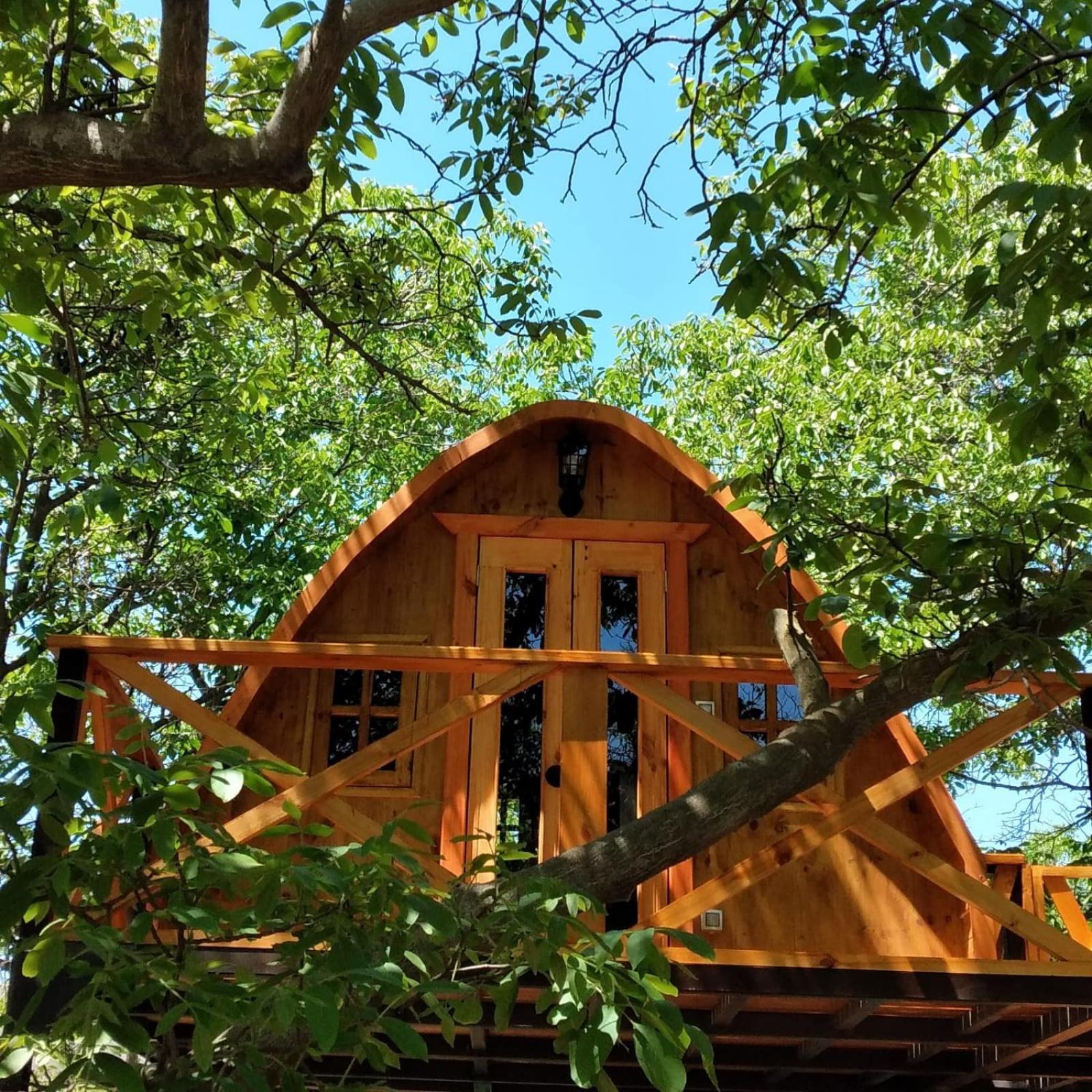 Cabanas Penaflor Glamping Zewnętrze zdjęcie